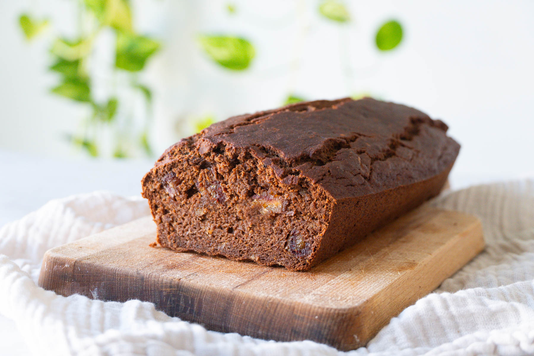Budin de Algarroba sin gluten-image